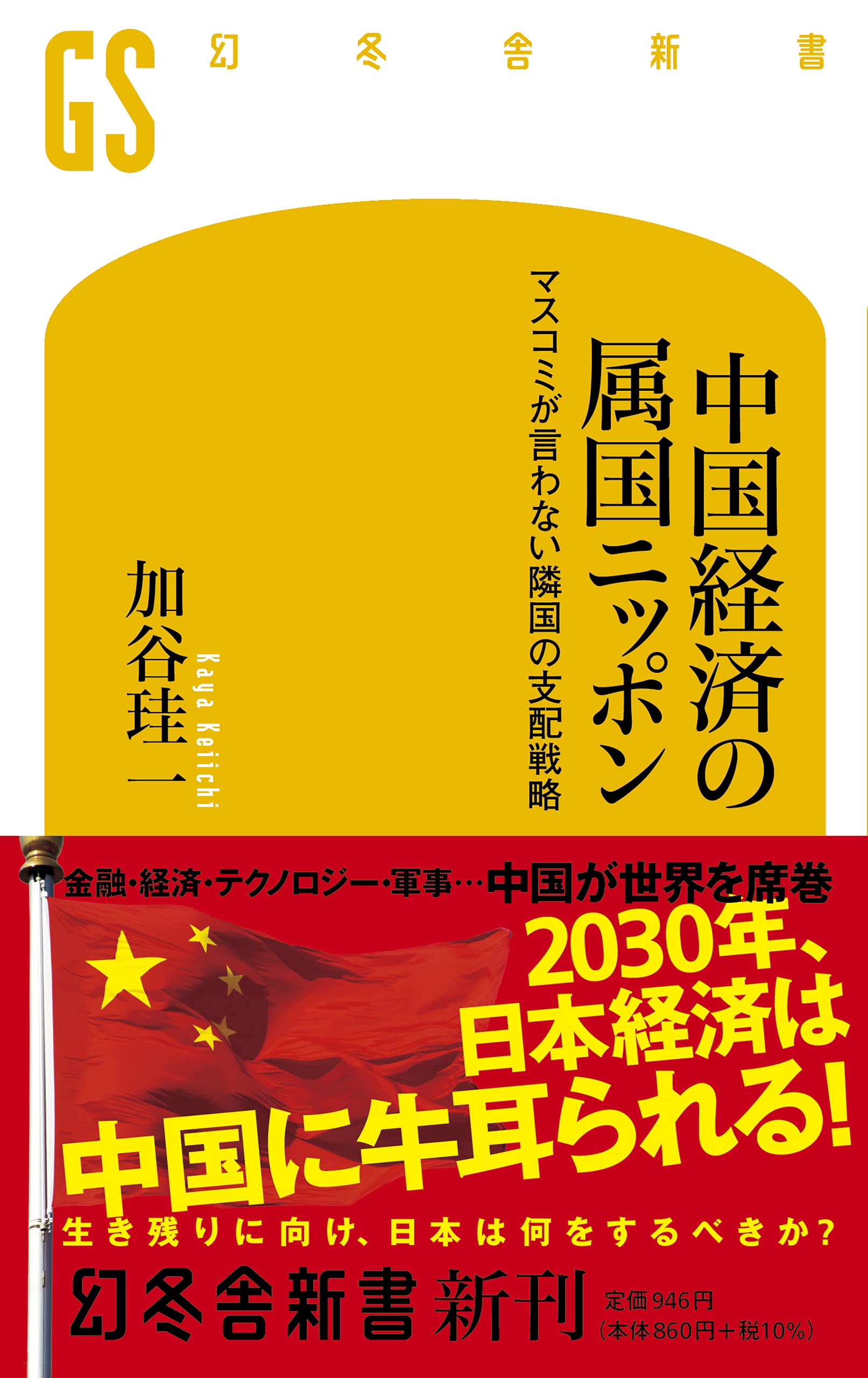 中国経済の属国ニッポン マスコミが言わない隣国の支配戦略 幻冬舎新書 加谷 珪一 本 通販 Amazon