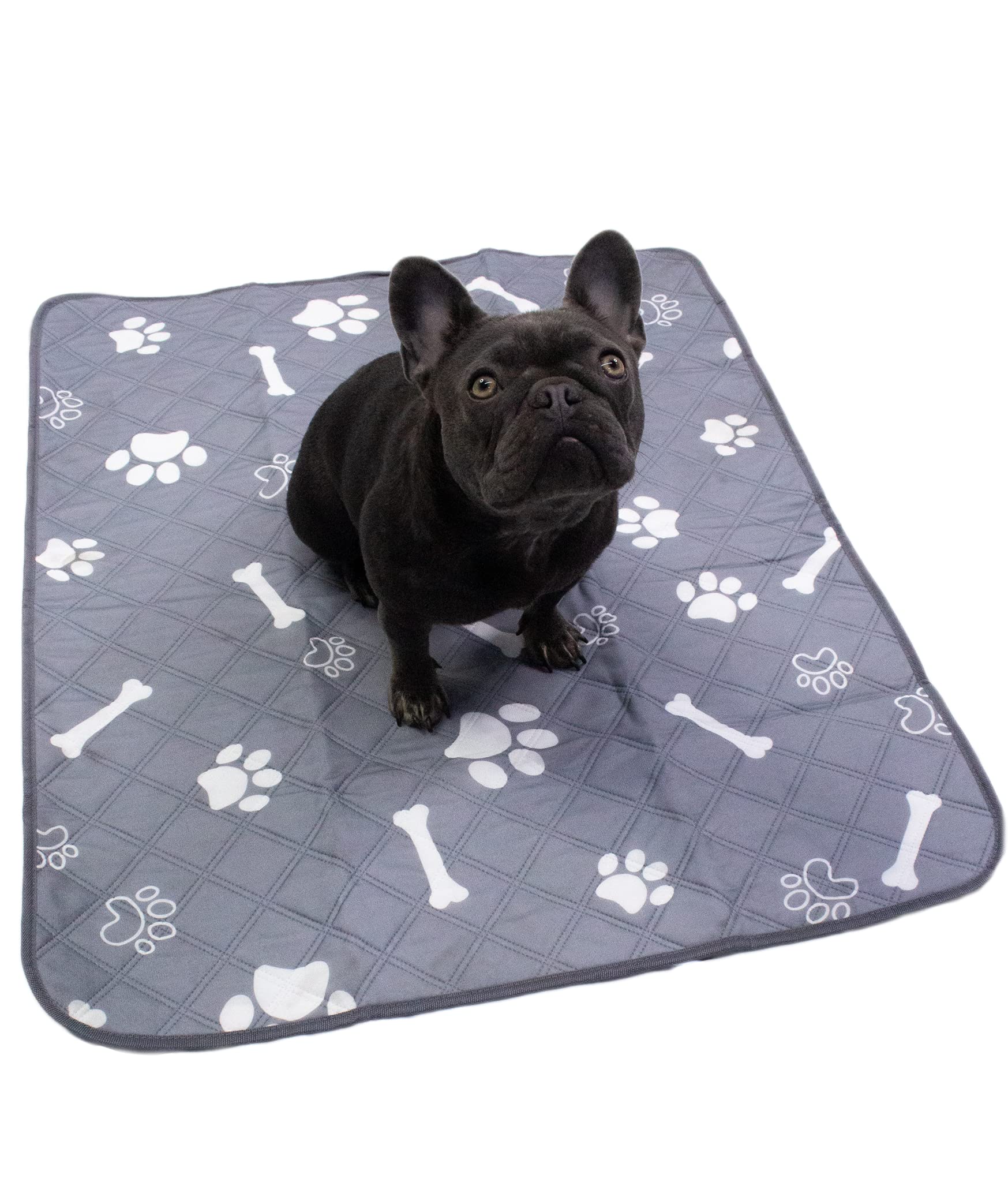 Modo Washable Reusable Large Quilted Extra Absorbent Layered Waterproof Puppy Adult and Senior Dog Travel and Training Mat (2-Pack)