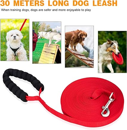 long leash for backyard