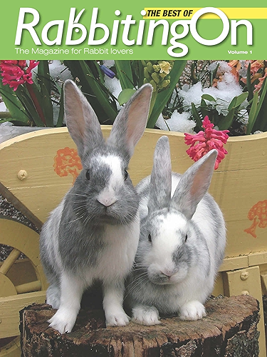 Download Best of Rabbiting On Volume 1: The magazine for rabbit lovers (English Edition) PDF