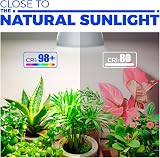 Barrina Grow Light Bulb with Timing 25W Full Spectrum 120 LEDs 4H 9H 14H Timer view 5