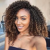 Lady Miranda Ombre Color Afro kinky Curly Braiding Hair Extensions