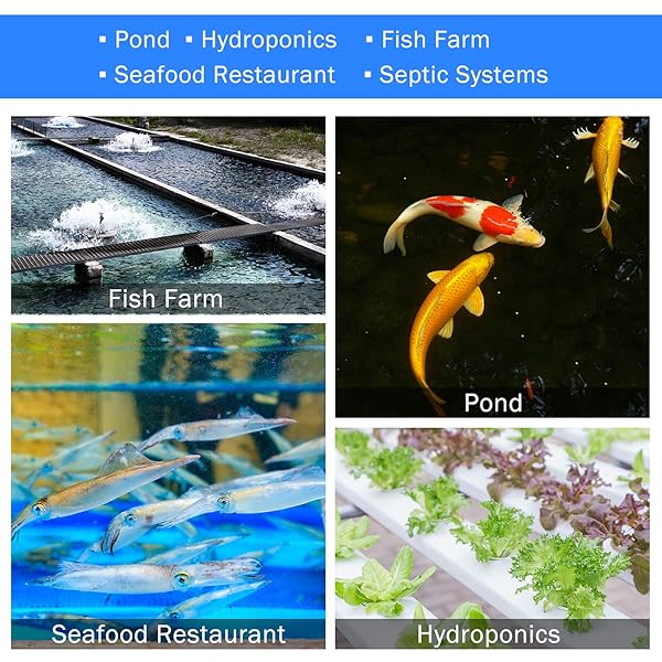 AQUAMIRACLE LINEAR AIR PUMP AP80 FOR POND AERATION, 1350GPH SEPTIC AIR PUMP POND AERATORS FOR OUTDOOR PONDS, HYDROPONIC, WASTE TREATMENT, AQUARIUM, FISH FARM, SEAFOOD RESTAURANT