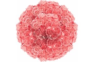 GlobalRose 200 Fresh Cut Pink Carnations for Mother's Day, Valentine's Day, Christimas, Anniversary, Birthday, Bridal Shower, Baby Shower or Just Because - Fresh Cut Stems