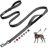 Fida 6 FT Heavy Duty Dog Leash with 2 Comfortable Padded Handles, Traffic Handle & Advanced Easy Snap Hook, Reflective Walking Lead for Large, Medium & Small Breed Dogs, Black