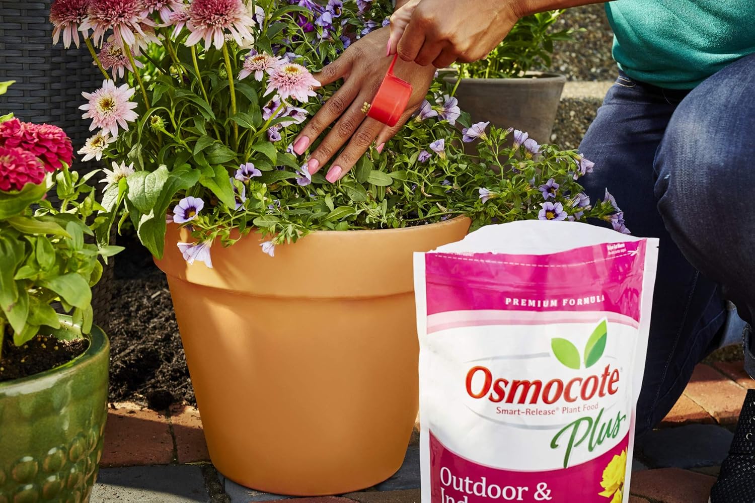 Osmocote 274850 Smart-Release Plant Food Plus Outdoor & Indoor, 8 lbs : Fertilizers : Garden & Outdoor