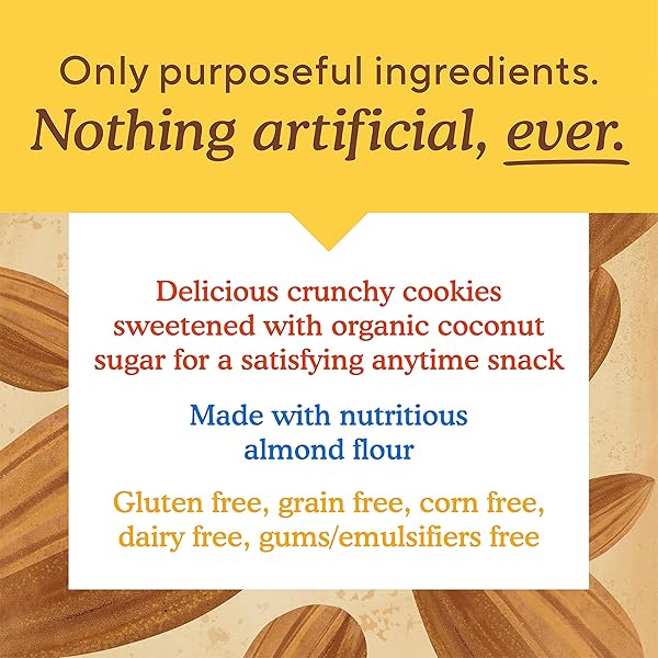 SIMPLE MILLS ALMOND FLOUR DOUBLE CHOCOLATE CHIP COOKIES, GLUTEN FREE AND DELICIOUS CRUNCHY COOKIES, ORGANIC COCONUT OIL, GOOD FOR SNACKS (PACKAGING MAY VARY)
