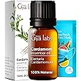 Gya Labs Cardamom Essential Oil for Diffuser - 0.34 Fl Oz - 100% Pure Natural Cardamom Oil for Skin, Aromatherapy，Candles Making - Spicy & Slightly Sweet Scent