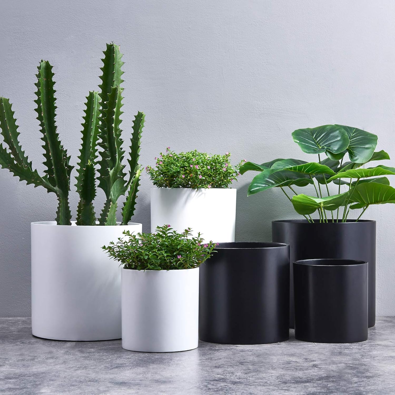 photo 10 Inch Planter Pot With Drainage g2 publicidad