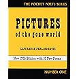 Pictures of the Gone World (City Lights Pocket Poets Series)