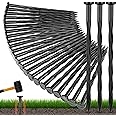 60 Count Plastic Landscape Edging Anchoring Stakes 8-Inch Garden Lawn Yard Landscaping Spikes for Paver Edging, Weed Barrier, Tent, Artificial Turf & More