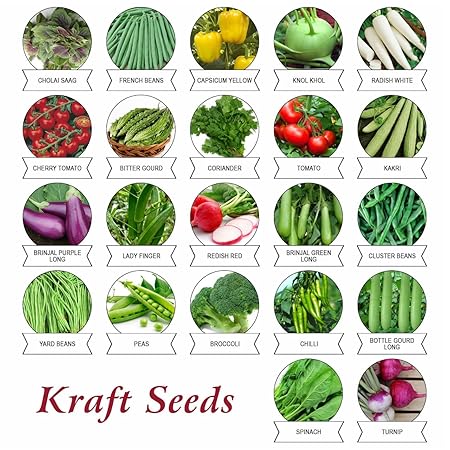 Kraft Seeds 22 Varieties of Vegetable Seeds Indian Vegetable Exotic Vegetable Heirloom Varieties Grow Your Own Vegetable Garden High Yield Varieties