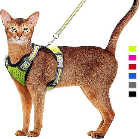 Harnais Et Laisse Pour Chat Harnais Pour Chaton Harnais En Maille Souple Harnais Reglable Pour Gilet De Chat Avec Sangle Reflechissante Amazon Fr Animalerie