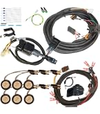 Amazon.com: MCSADVENTURES Plug And Play Street Legal Turn Signal