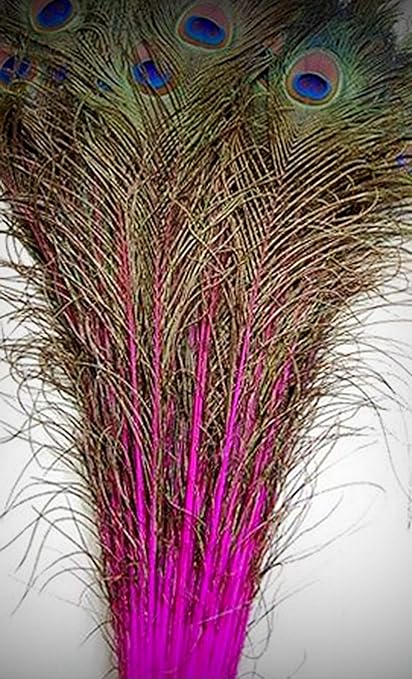 Amazon Com 1 Packet Of 25 Pcs Dyed Peacock Crafting Feathers 35