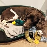 Petface Luxury Multi Squeak Duck Plush Dog Toy view 5