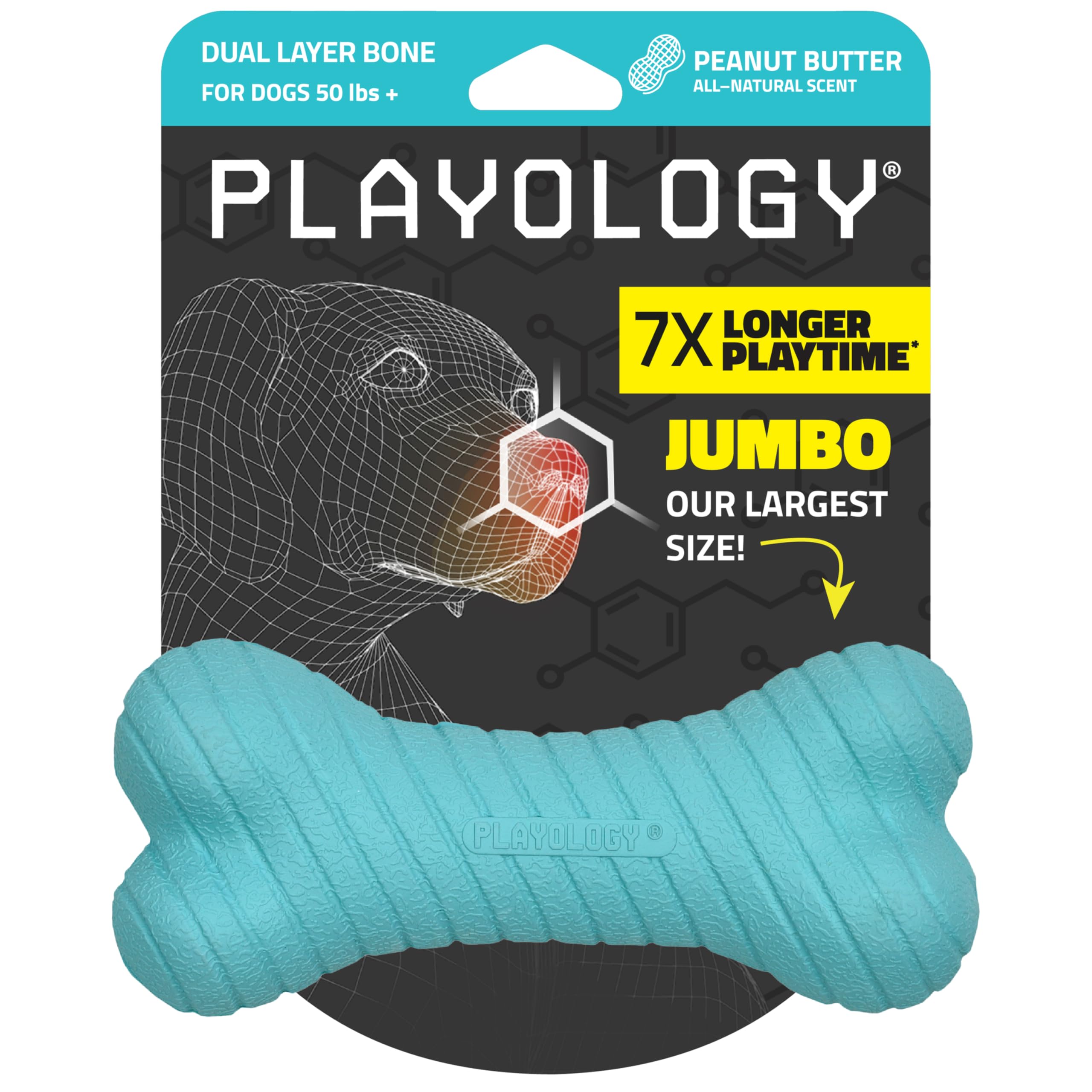 Playology Dog Toys | Dual Layer Bone Durable Chew Toy Bone for Dogs | Jumbo Peanut Butter Scented Toy - Easy to Clean and Made from Non Toxic Materials