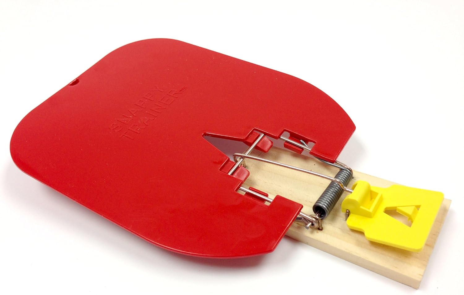 Best Motion Sensitive Dog Kitchen Counter Deterrent