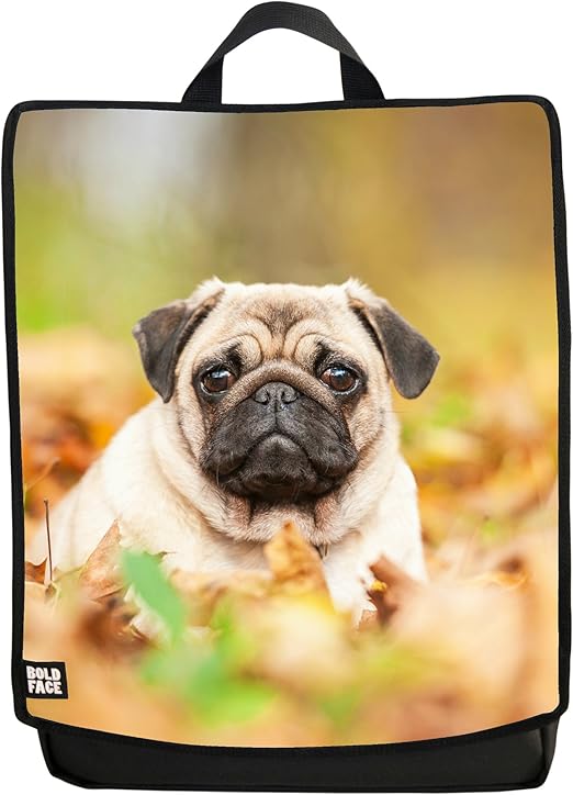 Pug Backpack (Cute Pug) Casual Daypacks