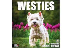 RED EMBER Westies West Highland White Terriers 2026 Wall Calendar 12 Month | 12" x 24" Open | Thick & Sturdy Paper | Giftable | Calendar 2026