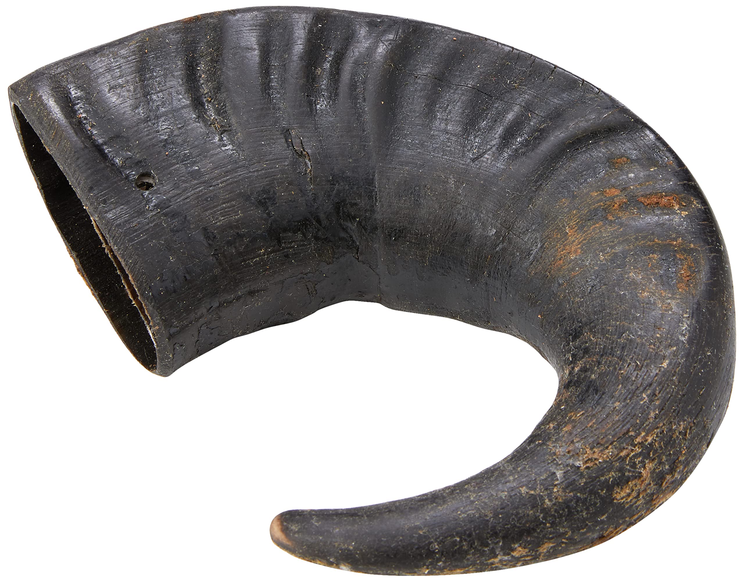 Hollings Buffalo Horn Jumbo Dog Treat, 100% Natural Grain Free Chew Treat for Adult Dogs, High in Protein and Naturally Low in Fat (1 Pack)