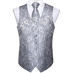 DiBanGu Mens Vest and Tie Set Formal Paisley