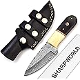 SharpWorld Beautiful Damascus Knife Made of Remarkable Damascus Steel and Exotic Handle -Best Hunting Knife with Leather Sheath TJ101