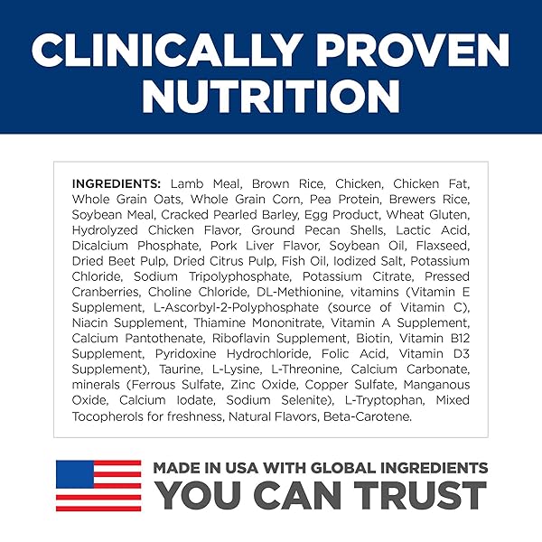 HILL’S SCIENCE DIET PUPPY, PUPPY PREMIUM NUTRITION, DRY DOG FOOD, LAMB & BROWN RICE, 4 LB BAG