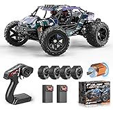 RC Cars for Adults & Boys, 1:14 Desert 4WD Off-Road RC Truck High Speed 40 km/h, 4x4 Remote Control Car with 2 Rechargeable 1