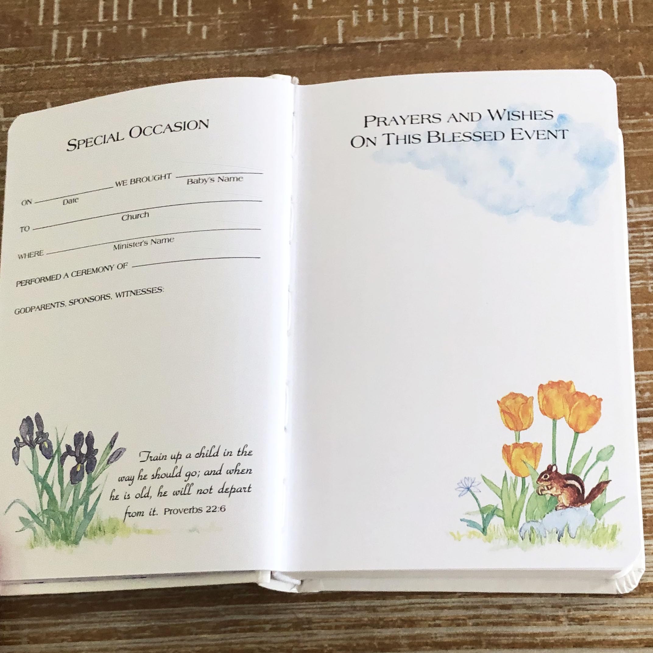 KJV Baby’s First Bible, Hardcover: Holy Bible King James Version