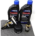 Power Performance 20W-50 Oil Change Kit for Kawasaki 49065-0721 and Fuel Treatment