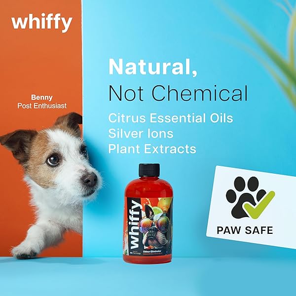 WHIFFY CITRUS PET ODOR ELIMINATOR FOR HOME, CARPETS, FURNITURE, AND MORE – USE ON DOG/CAT PEE SMELLS 8OZ CONCENTRATE BOTTLE