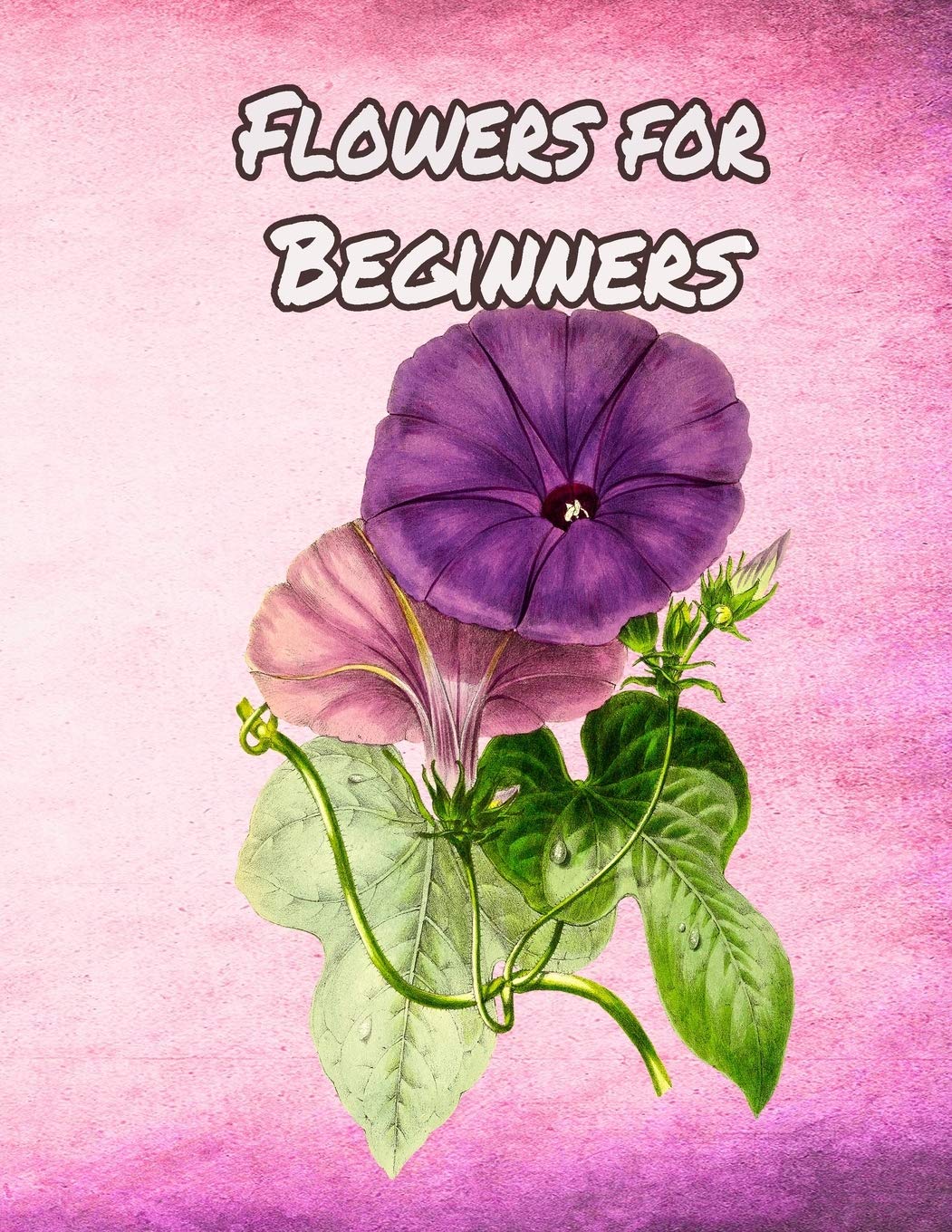 Amazon Com Flowers For Beginners An Adult Coloring Book