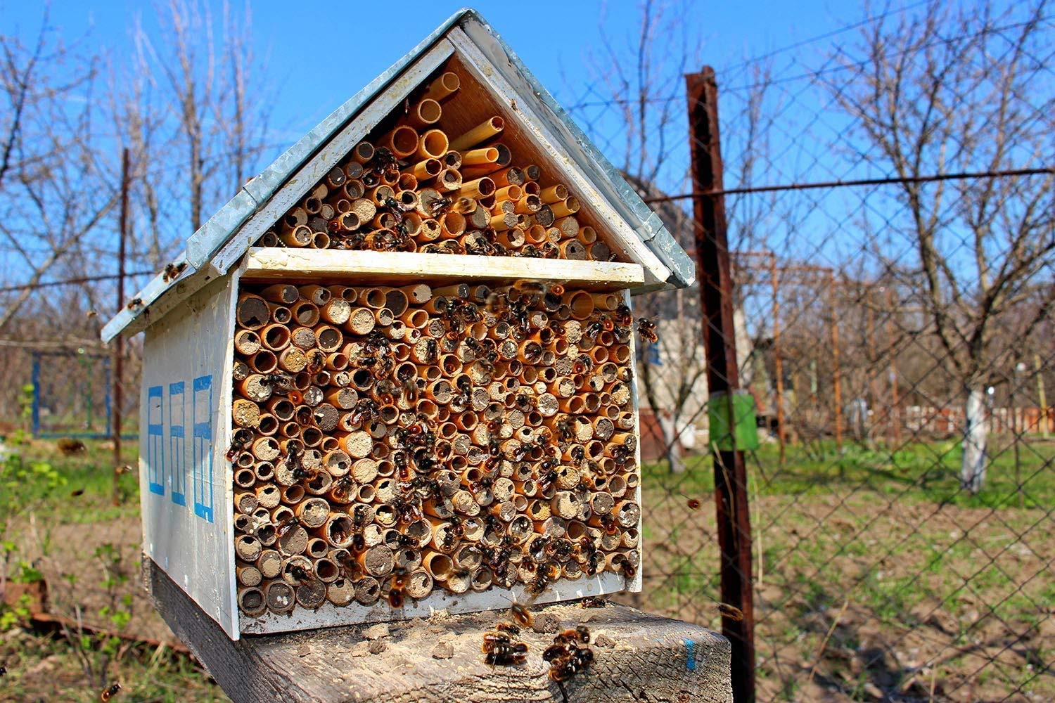 View 5