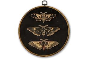 XinZo Art Retro Insect Wall Decoration, Round Picture Frame Painting, Dark Aesthetic Style Hanging Wall Decor, Suitable for B