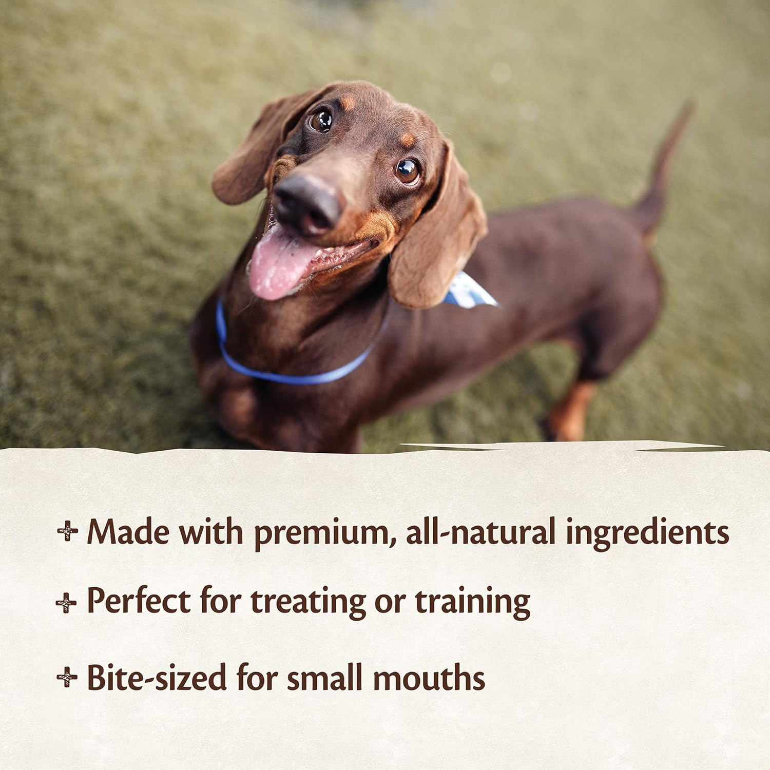 wellness core petite treats