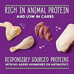 Stella & Chewy's Carnivore Cravings Purrfect Pate