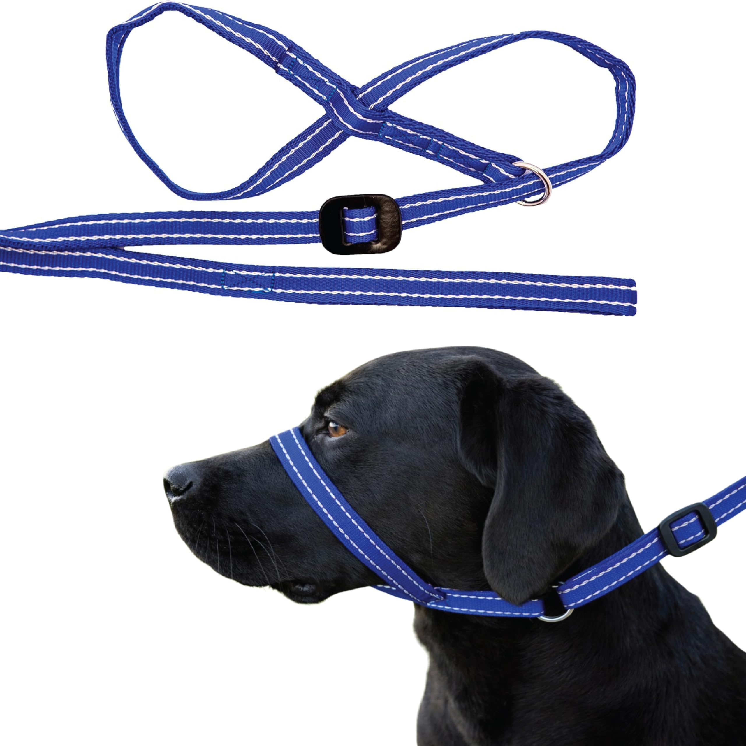 Gencon - All-in-One Anti Pull Dog Lead and Headcollar - Trainer Approved - Figure of 8 Dog Lead with Soft Loop Handle, Gentle Control - Right Hand - Washable - UK Made - Blue/White
