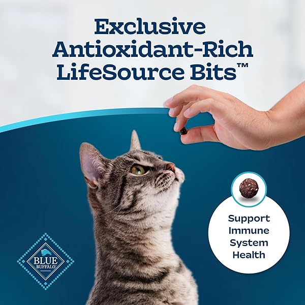 BLUE BUFFALO TASTEFULS ACTIVE CAT DRY CAT FOOD, MADE IN THE USA WITH NATURAL INGREDIENTS, CHICKEN & BROWN RICE RECIPE, 3-LB. BAG