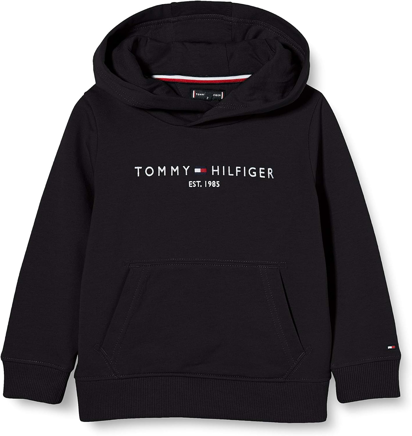 blue tommy hoodie