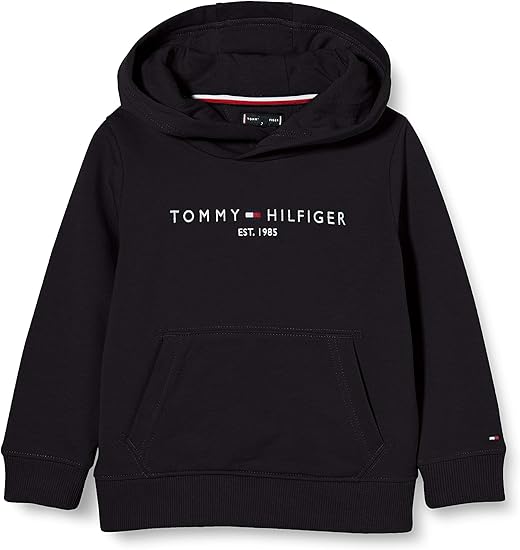 essential hoodie tommy hilfiger