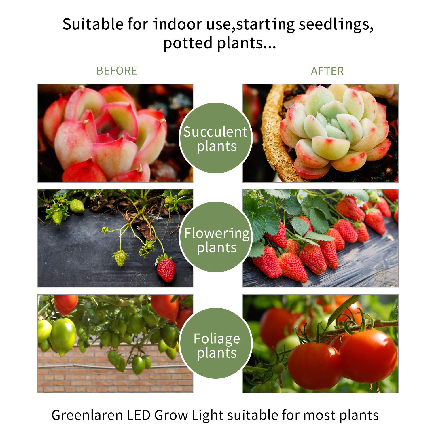 Esonstyle 2018 Upgraded 19W Plant Grow Light Lamps with Auto Turn On/Off Function Dual Head 38 LED 10 Dimmable Levels Grow Lamp Bulbs, 3/9/12H Timer, Spectrum Switching Adjustable (Auto Turn on/Off)