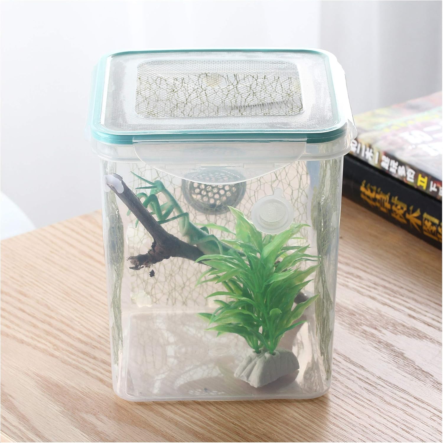 crapelles spider mantis bottle breathable outdoor natural critter exploration tools science educational research butterfly frog insect colored cage habitat bug catcher animal caterpillars container cr