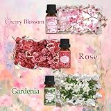 Salubrito Essential Oils Set 6x10ml Floral Diffuser Jasmine Lavender Rose view 3
