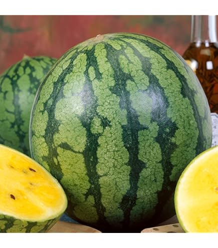Amazon.com : 40 Seeds Pony Yellow Hybrid Japanese Watermelon