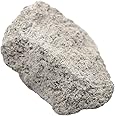 EISCO Oolitic Limestone, Sedimentary Rock Specimen - Approx. 1" - Geologist Selected & Hand Processed - Great for Science Classrooms