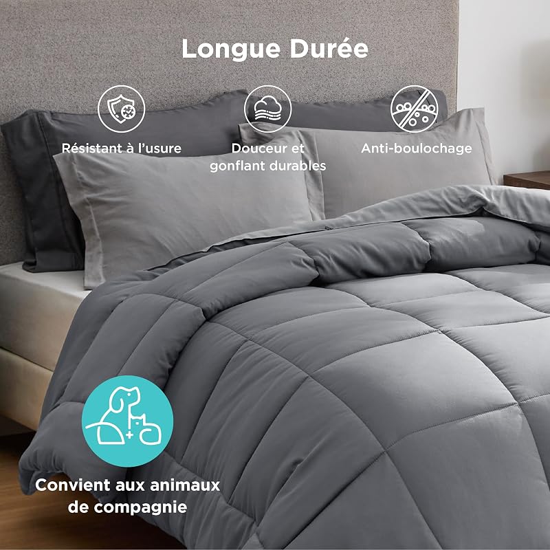 Couette 220x240 4 Saisons - Couette sans Housse 300g/m²