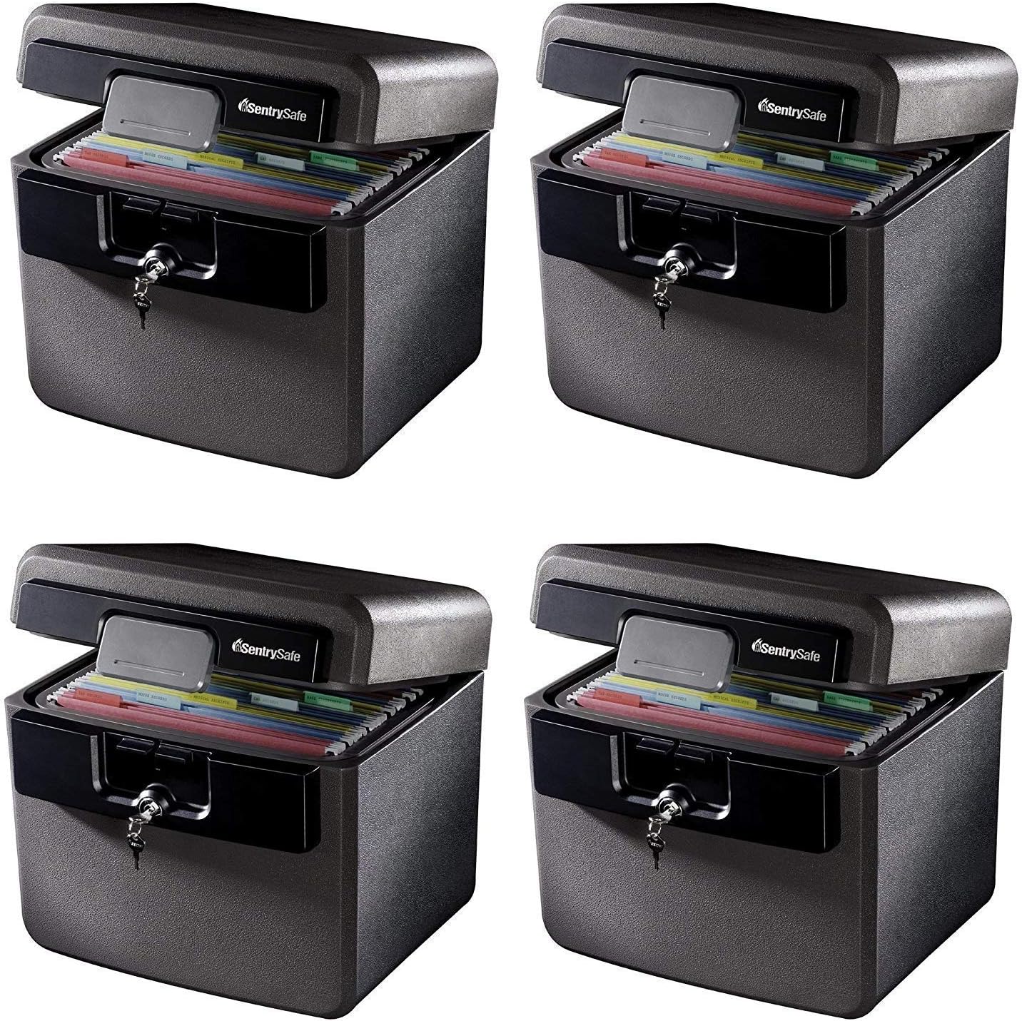 SentrySafe HD4100 Fireproof Safe and Waterproof Safe with Key Lock 0.65 Cubic Feet (Pack of 4)