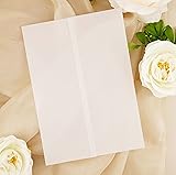 Puremigo 120 Pack Luxury Pre-Folded Vellum Jackets