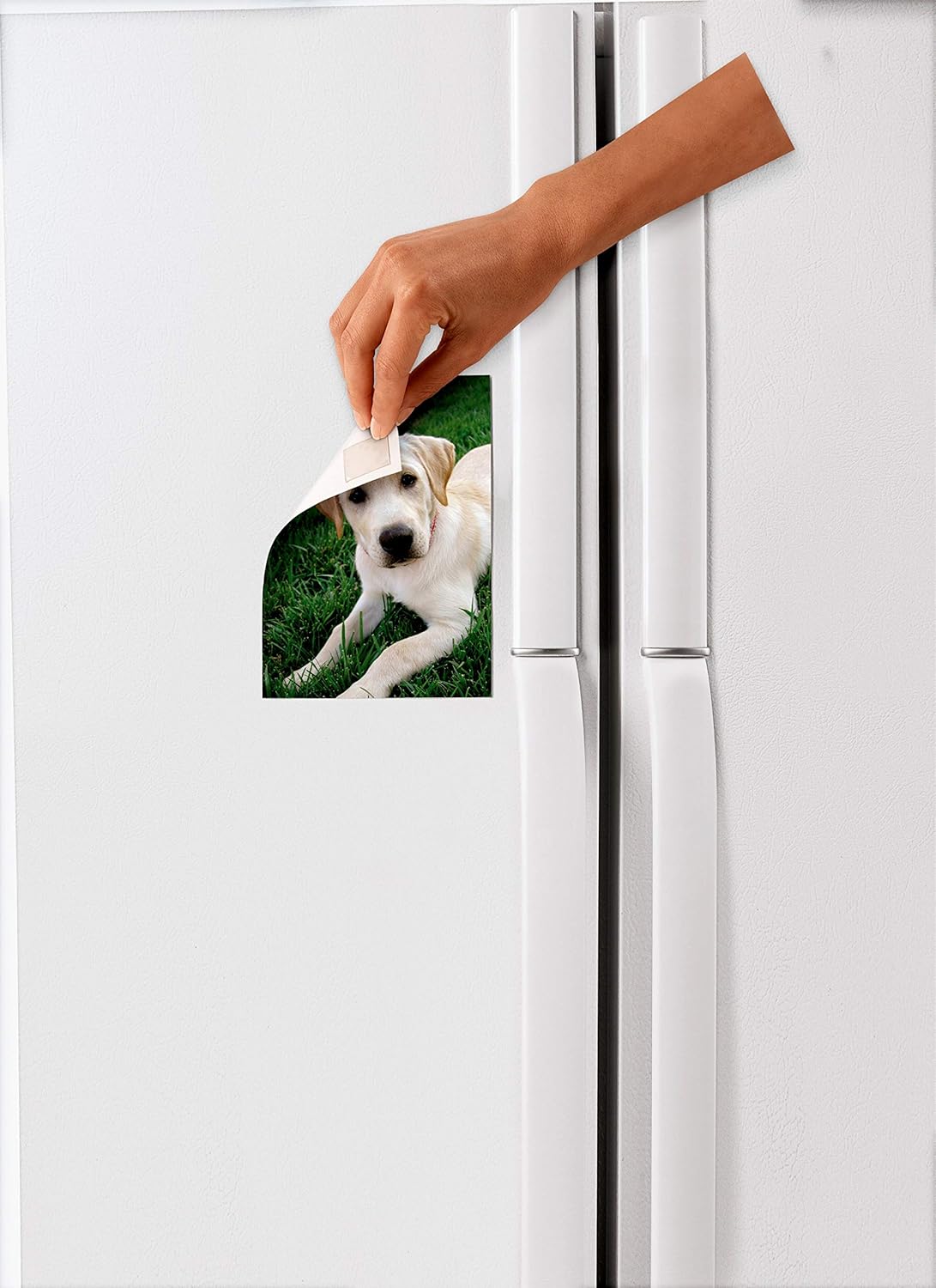 Scotch Mounting, Fastening & Surface Protection 108 REMOVABLE MOUNTNG 1X1IN. 16PC, 1", White, 16 Count: Home Improvement